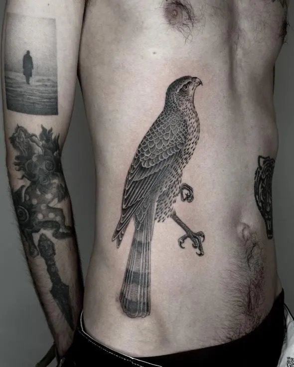 Blackwork tattoo of a hawk on my side
